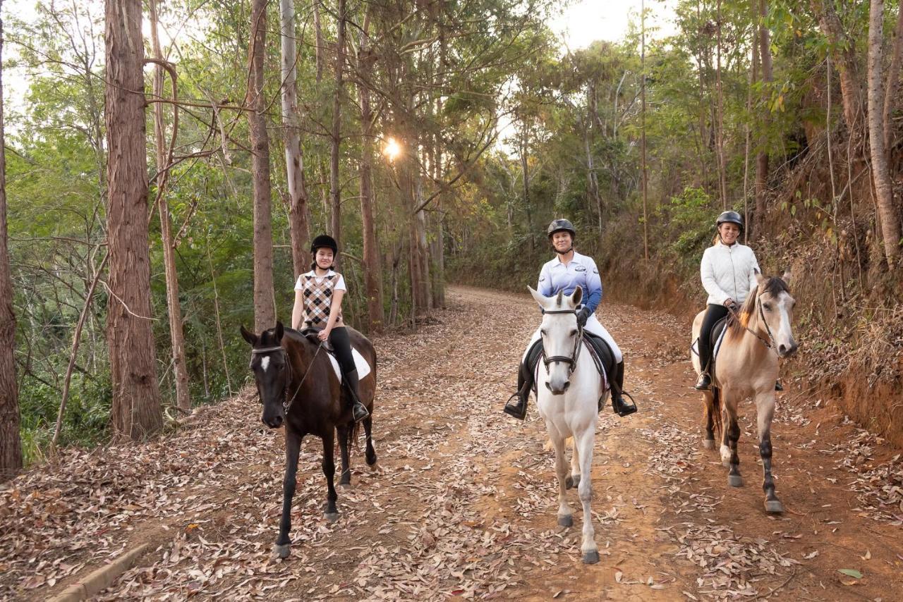Haras Morena Resort Juiz de Fora Exterior photo